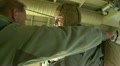 Military parachutists jump out of the plane Video
