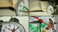 video clip 10861209