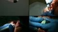 video clip 10861223
