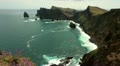 Madeira coastline with blue flower 20110427 121636 Video