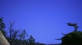 video clip 10881327