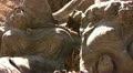 video clip 10883635