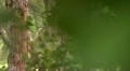 video clip 10884895