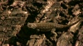 video clip 10887709