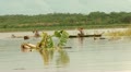 Fisher On Amazon River, South America
