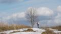 Shoot the lone tree Video