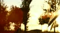 video clip 10899287