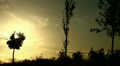 video clip 10901595