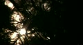 video clip 10912841