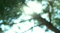 video clip 10912873