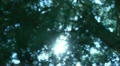video clip 10912967