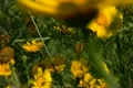 video clip 10912999
