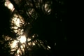 video clip 10913141
