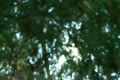 video clip 10913271