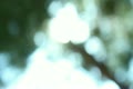 video clip 10913281
