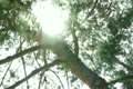 video clip 10913289