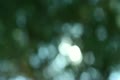video clip 10913295