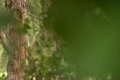 video clip 10913477