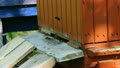 Busy bees flying into beehive. Apiary. Video