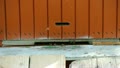 Bees flying into beehive. Apiary. Video