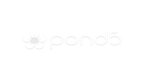 After Effects Project - Pond5 Company Card Presentation Girl 11025151 After Effects Project - Pond5 Company Card Presentation Girl 11025151