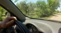 video clip 11097445