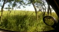 video clip 11099125