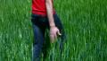video clip 11103221