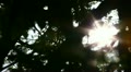 video clip 11121231