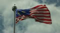 Malaysian Flag