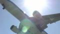 video clip 11131757