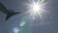 video clip 11131799