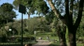 video clip 11134353