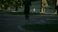 video clip 11136351