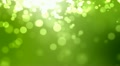 Green background
