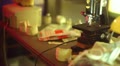 video clip 11146403