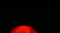 video clip 11147703