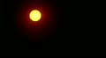 video clip 11168501