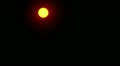 video clip 11170041