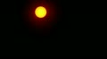 video clip 11170141