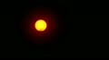 video clip 11170807