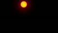 video clip 11171569