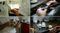 video clip 11226611