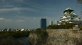 video clip 11279347