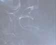 video clip 11319345