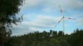 video clip 11330357