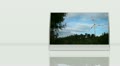 video clip 11332679