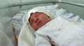 video clip 11333789
