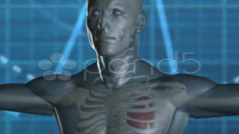 After Effects Project - Pond5 Medical Ailments 11344317 After Effects Project - Pond5 Medical Ailments 11344317