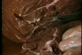 Close-up of hands cutting raw meat